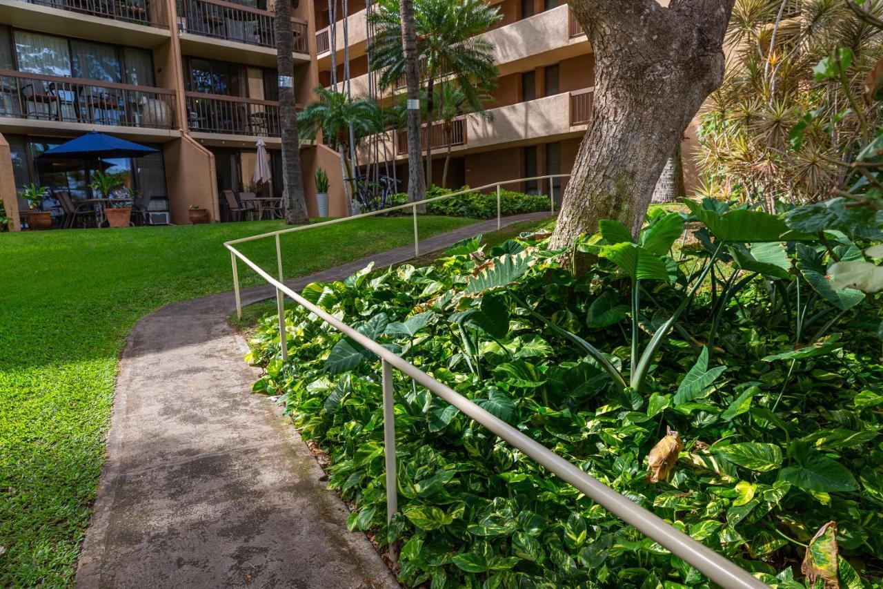 קיהיי Maui Vista Vacation Condo מראה חיצוני תמונה